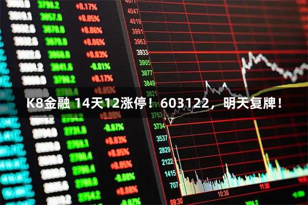 K8金融 14天12涨停！603122，明天复牌！